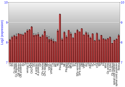 Expression graph
