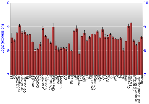 Expression graph