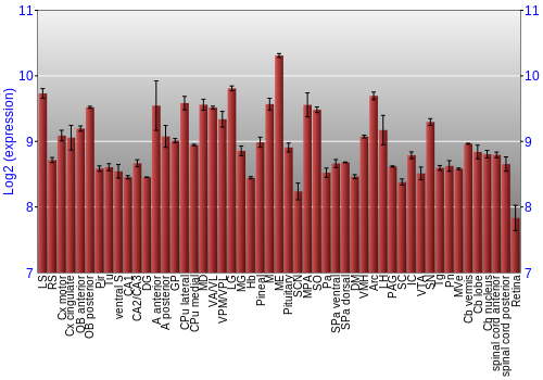 Expression graph