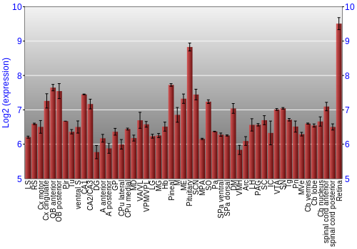 Expression graph