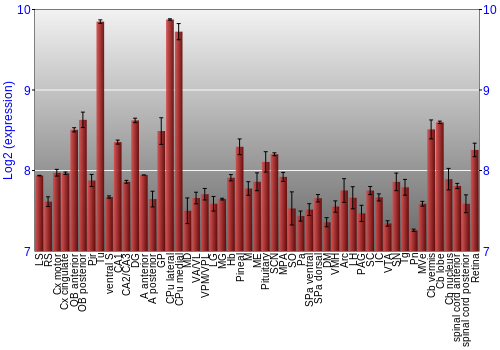 Expression graph