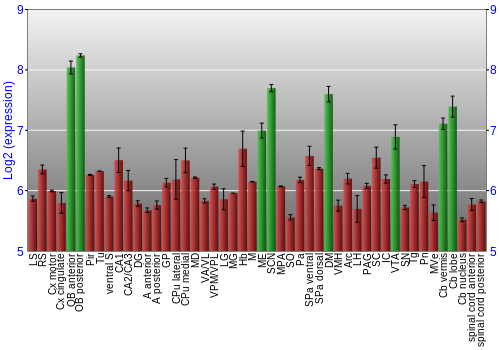 Multi-state expression graph