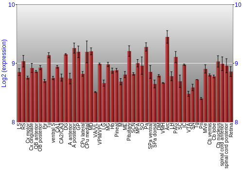 Expression graph