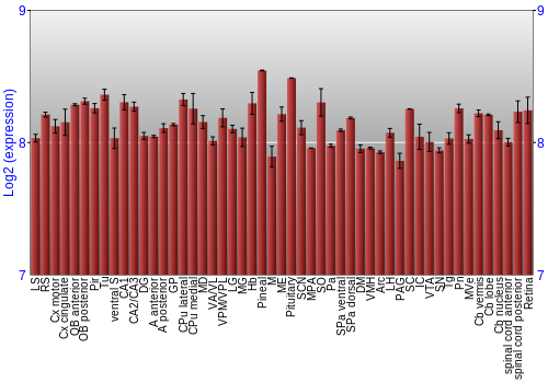Expression graph