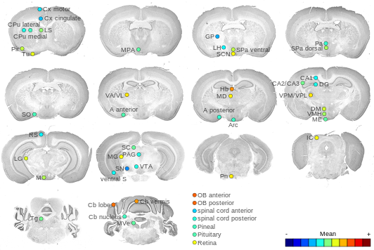 Expression map
