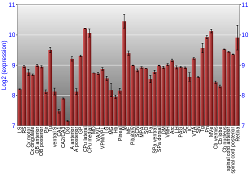 Expression graph