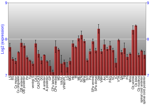 Multi-state expression graph