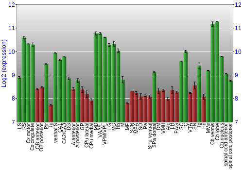 Multi-state expression graph