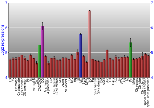 Multi-state expression graph