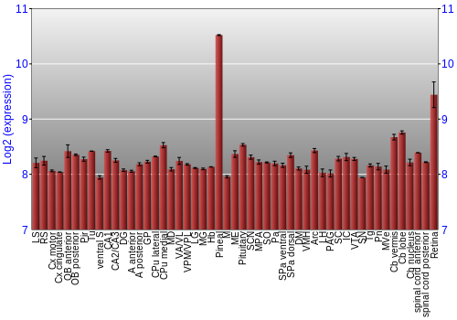 Expression graph