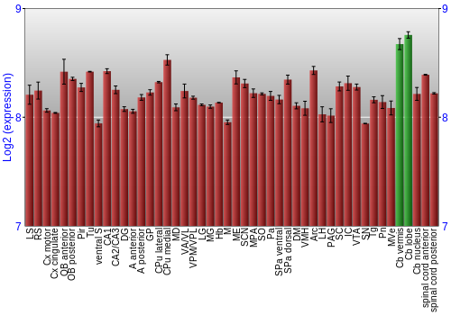 Multi-state expression graph