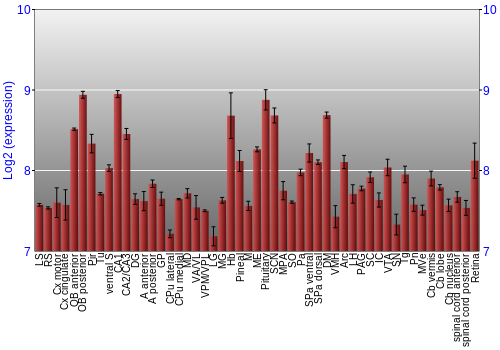 Expression graph
