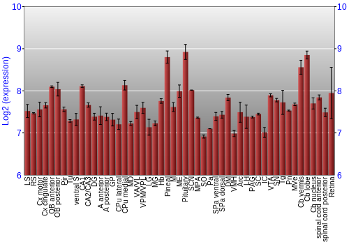 Expression graph