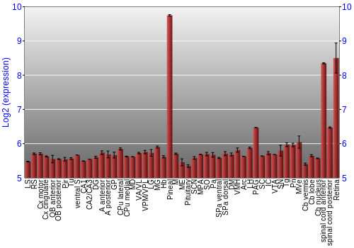 Expression graph