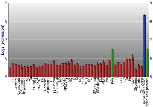 Multi-state expression graph