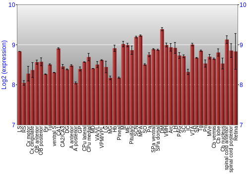Expression graph