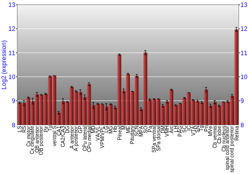 Expression graph