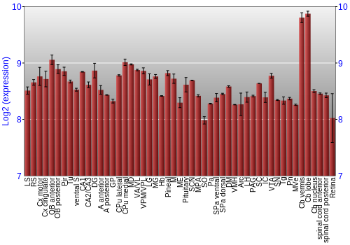 Expression graph