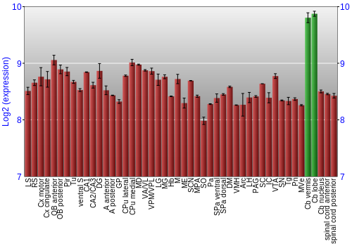 Multi-state expression graph