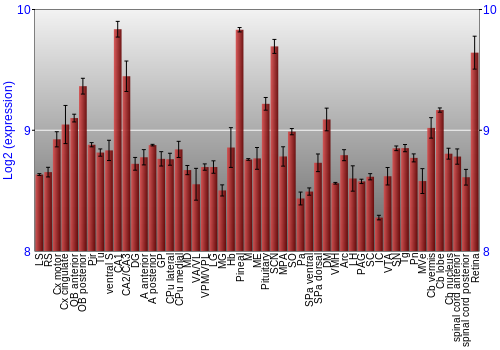 Expression graph
