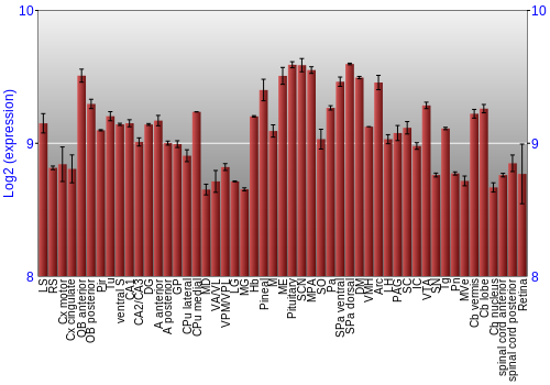 Expression graph