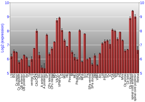 Expression graph