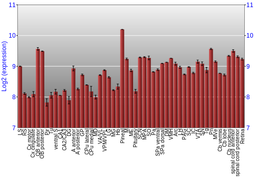 Expression graph