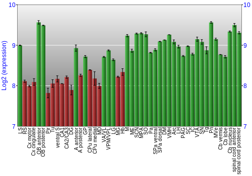Multi-state expression graph