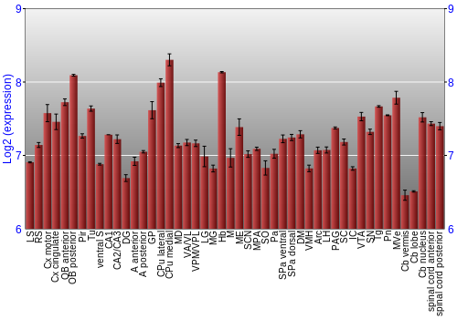 Multi-state expression graph