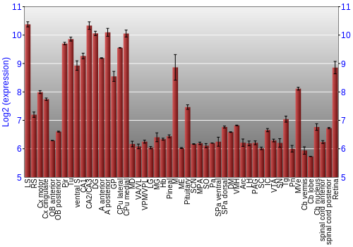 Expression graph