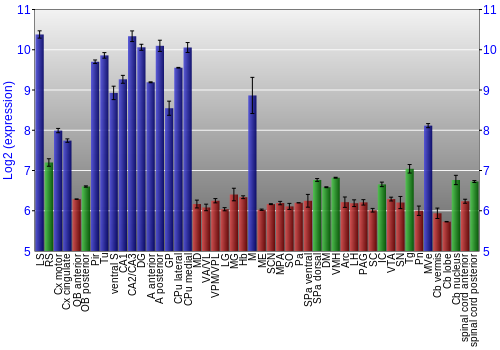 Multi-state expression graph