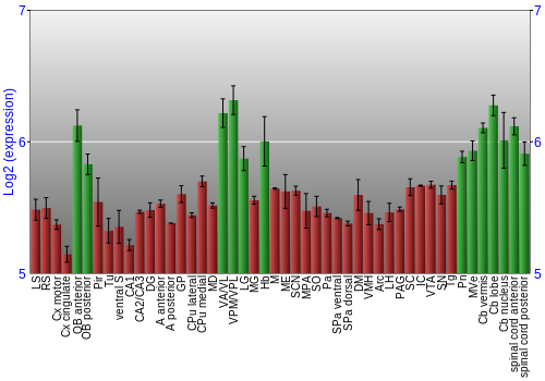 Multi-state expression graph