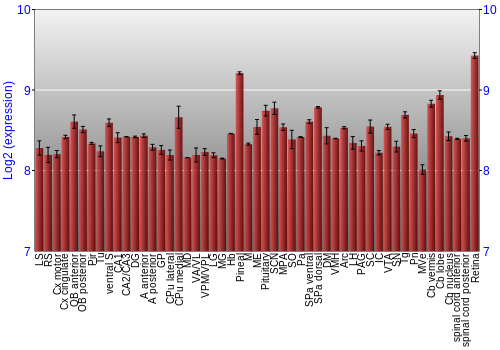 Expression graph