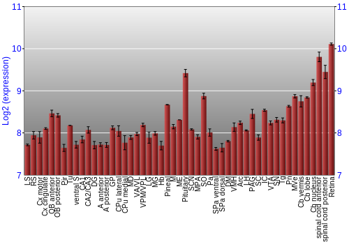 Expression graph