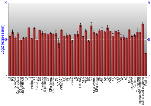 Expression graph