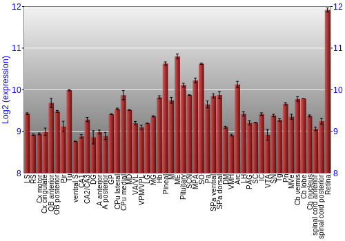 Expression graph