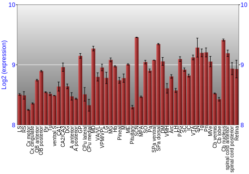 Expression graph