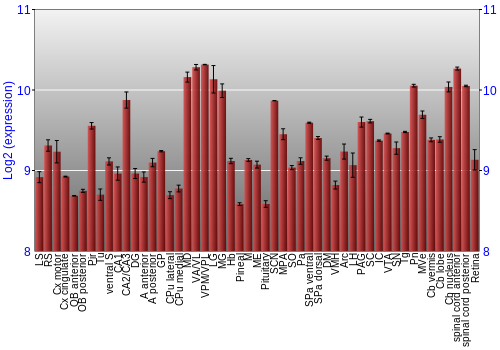 Expression graph