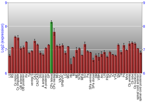 Multi-state expression graph