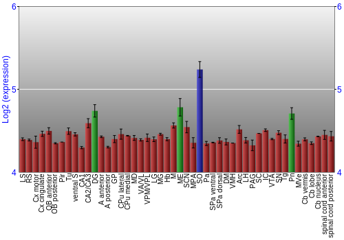 Multi-state expression graph
