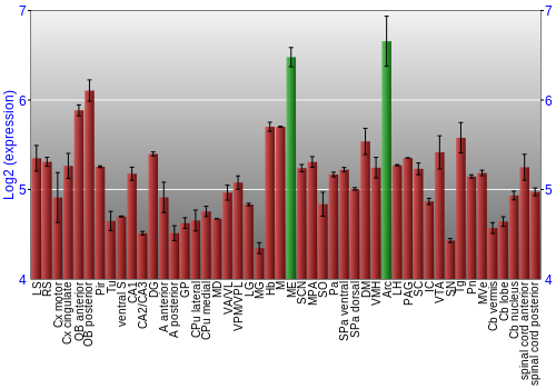 Multi-state expression graph
