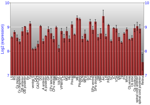 Expression graph