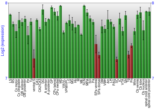 Multi-state expression graph