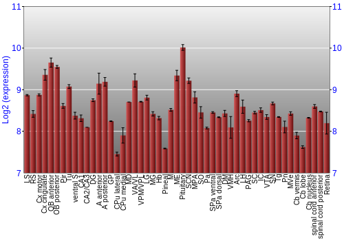 Expression graph