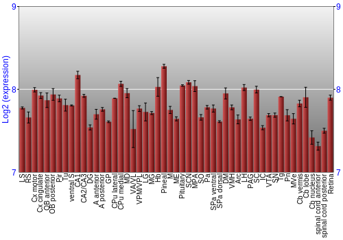 Expression graph