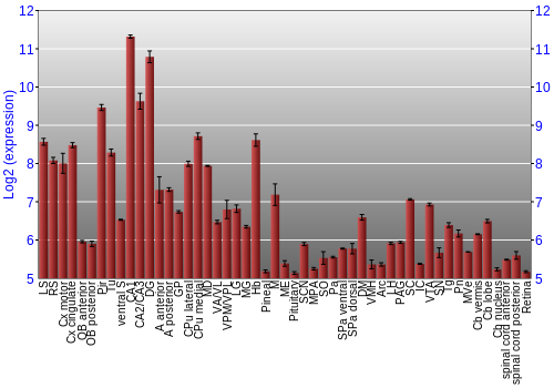 Expression graph
