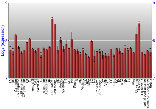 Expression graph