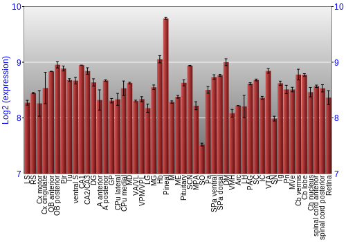 Expression graph