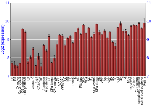 Expression graph