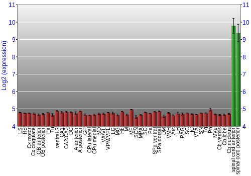 Multi-state expression graph